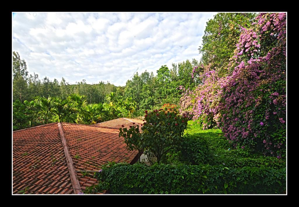 Hotel Shevaroys Yercaud Δωμάτιο φωτογραφία